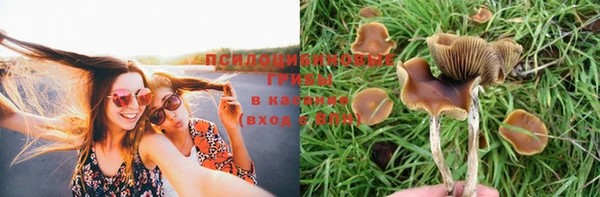 молекула духа Беломорск