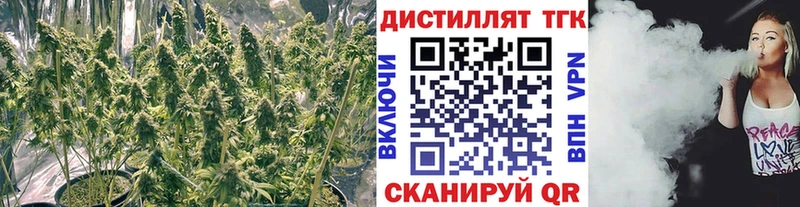 цена   Бобров  маркетплейс официальный сайт  Дистиллят ТГК вейп 