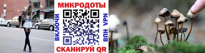 Галлюциногенные грибы прущие грибы  наркотики  Бобров 
