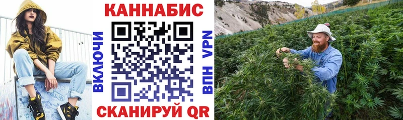 Конопля планчик  закладки  Бобров 